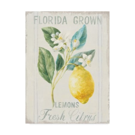 Danhui Nai 'Floursack Lemon I' Canvas Art,14x19